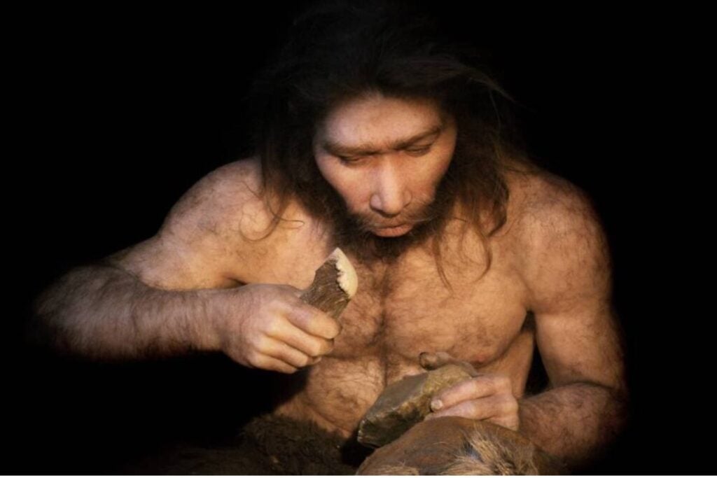 Los neandertales no desperdiciaban ni los dientes de un rinoceronte. Todo apunta a que los usaban como martillos y yunques para fabricar herramientas de piedra