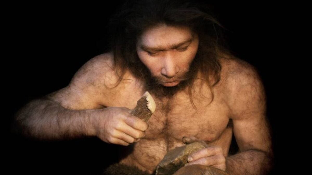 Los neandertales no desperdiciaban ni los dientes de un rinoceronte. Todo apunta a que los usaban como martillos y yunques para fabricar herramientas de piedra