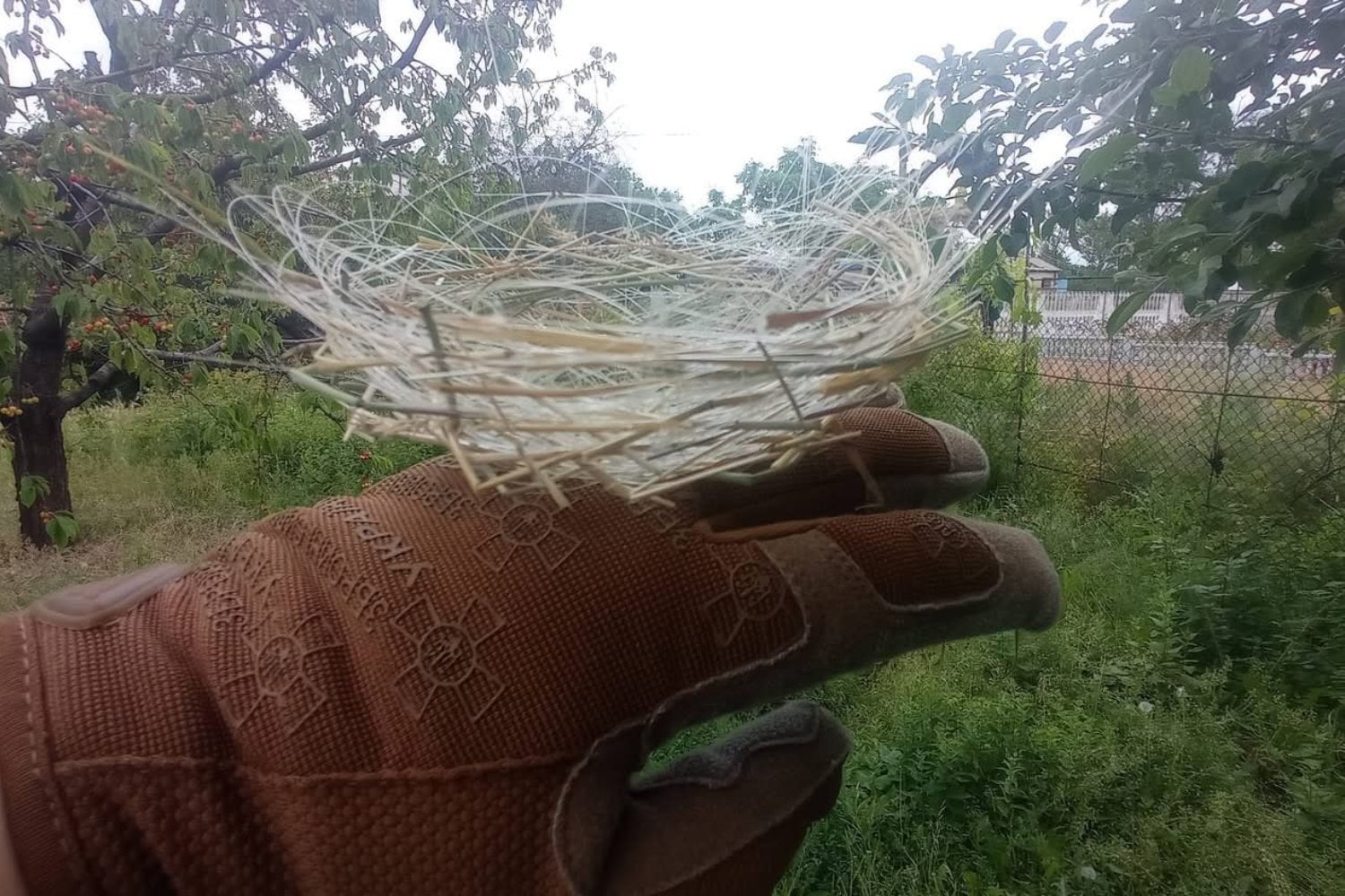 Las aves de Ucrania están encontrando material de construcción en uno de los residuos más extraños de la guerra moderna. Los cables de drones que no pueden ser bloqueados ya aparecen tejidos en sus nidos