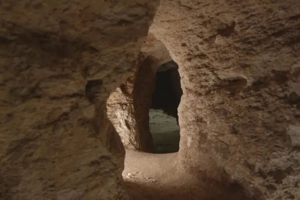 Amud 7, el bebé neandertal descubierto en Israel, tenía dientes de lactante pero huesos de un niño mucho más desarrollado. Esa diferencia apunta a una infancia más acelerada que la nuestra