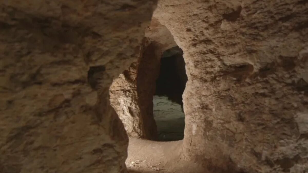 Amud 7, el bebé neandertal descubierto en Israel, tenía dientes de lactante pero huesos de un niño mucho más desarrollado. Esa diferencia apunta a una infancia más acelerada que la nuestra