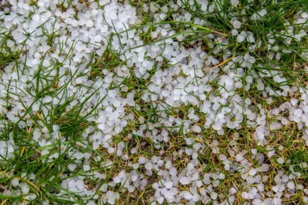 Los científicos observan una tendencia inquietante en las tormentas: el granizo gigante está aumentando y algunas piedras de hielo ya baten récords históricos