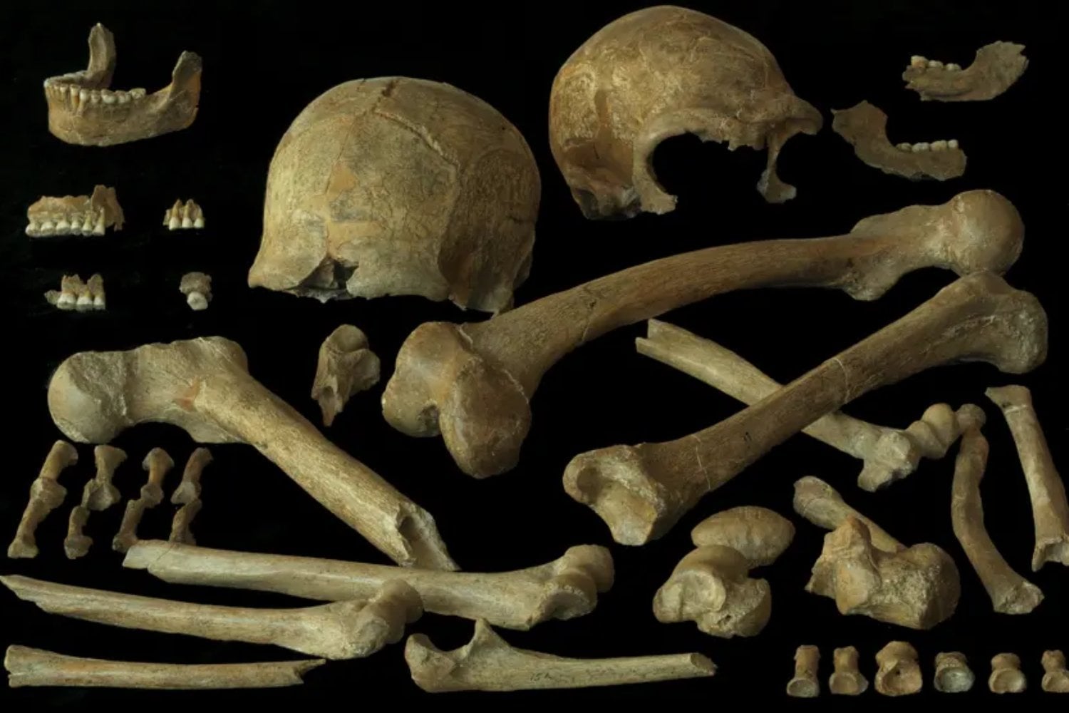 Los últimos neandertales del noroeste de Europa no vivían atrapados en pequeñas comunidades condenadas por la endogamia. El ADN de 27 individuos cuestiona que un deterioro genético progresivo explique su extinción