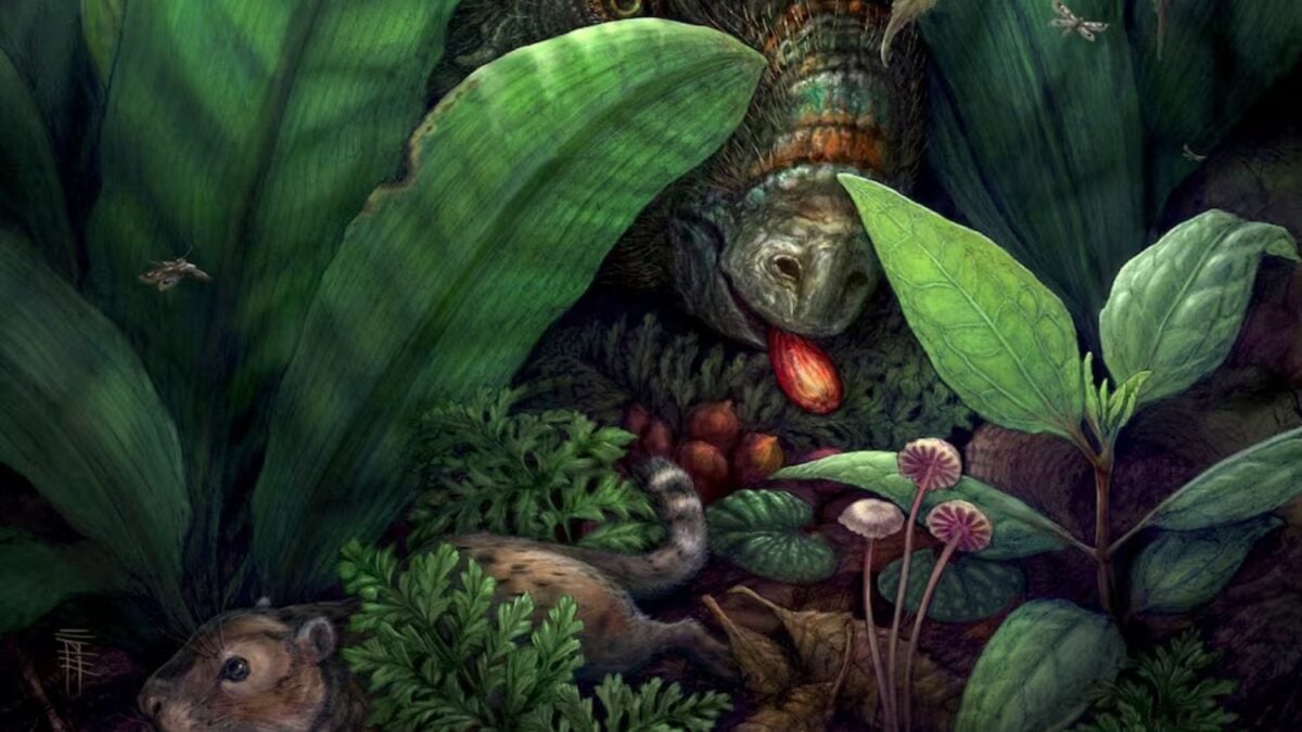 Una “Pompeya vegetal” de hace 74 millones de años acaba de cambiar la historia de las plantas con flores. El bosque fósil muestra que ya dominaban antes del final de los dinosaurios