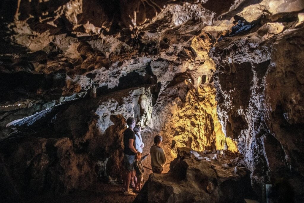 Los últimos neandertales del noroeste de Europa no vivían atrapados en pequeñas comunidades condenadas por la endogamia. El ADN de 27 individuos cuestiona que un deterioro genético progresivo explique su extinción