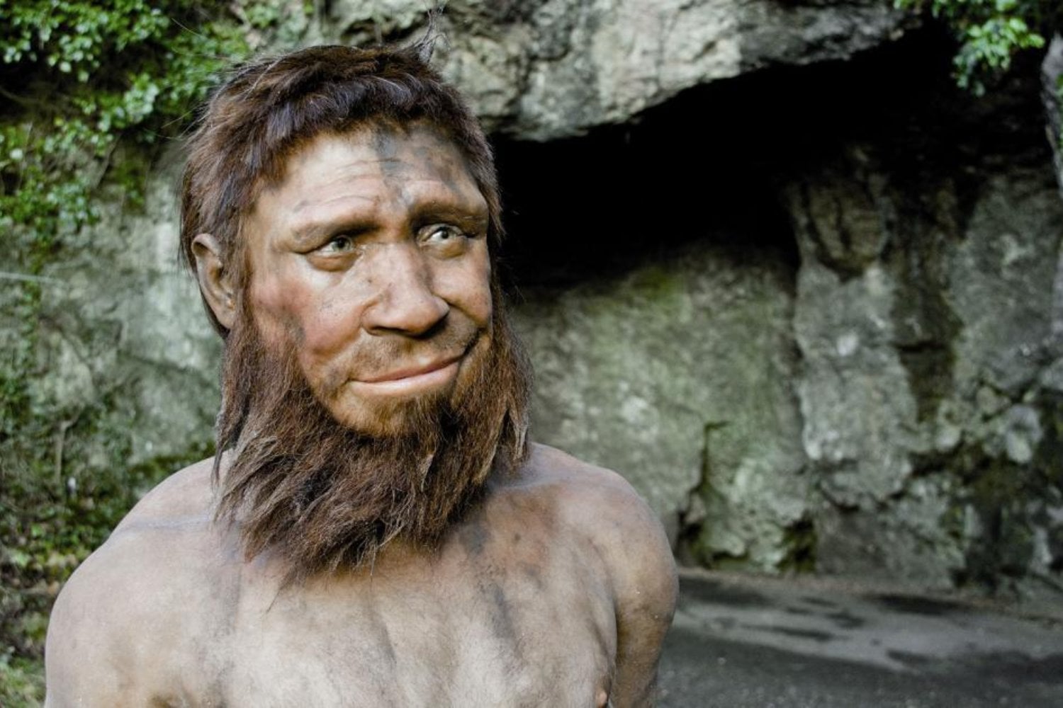 Los últimos neandertales del noroeste de Europa no vivían atrapados en pequeñas comunidades condenadas por la endogamia. El ADN de 27 individuos cuestiona que un deterioro genético progresivo explique su extinción