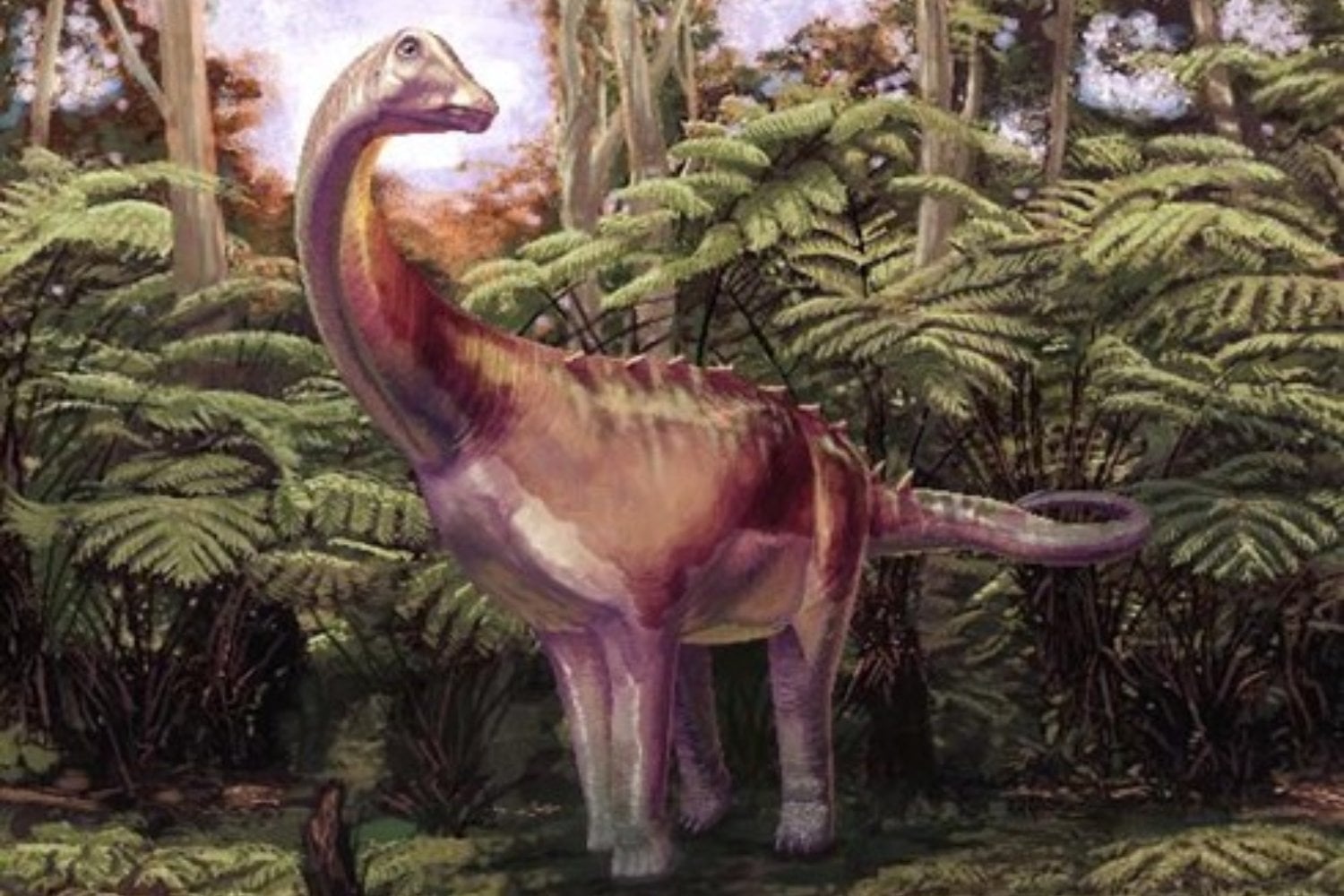 El primer hueso de dinosaurio recolectado en la Antártida pasó 40 años olvidado en un cajón. Ahora sabemos que pertenecía a un titanosaurio