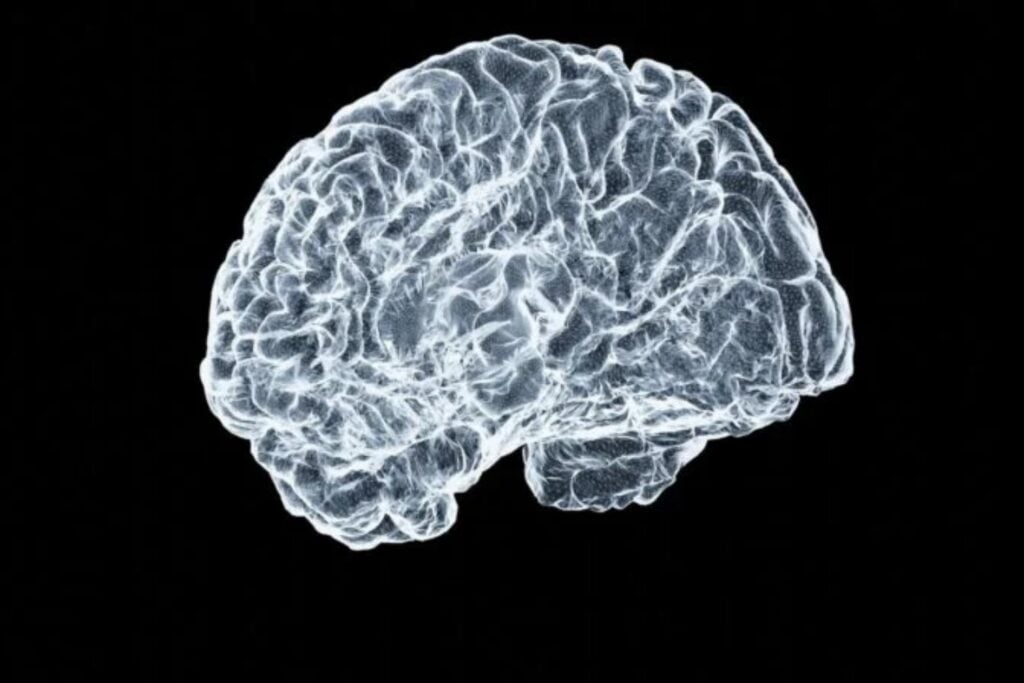 La memoria humana siempre pareció demasiado grande para explicarse solo con neuronas y sinapsis tradicionales. Un nuevo modelo del MIT apunta a unas células ignoradas durante décadas: los astrocitos podrían ser parte del verdadero sistema de almacenamiento del cerebro