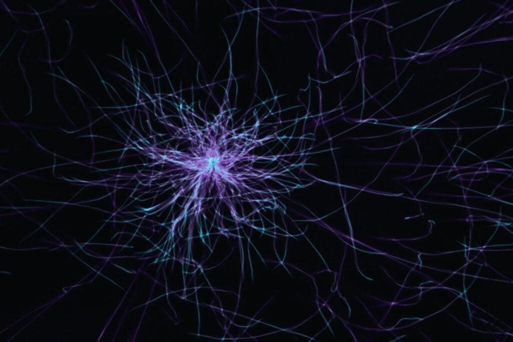 La memoria humana siempre pareció demasiado grande para explicarse solo con neuronas y sinapsis tradicionales. Un nuevo modelo del MIT apunta a unas células ignoradas durante décadas: los astrocitos podrían ser parte del verdadero sistema de almacenamiento del cerebro