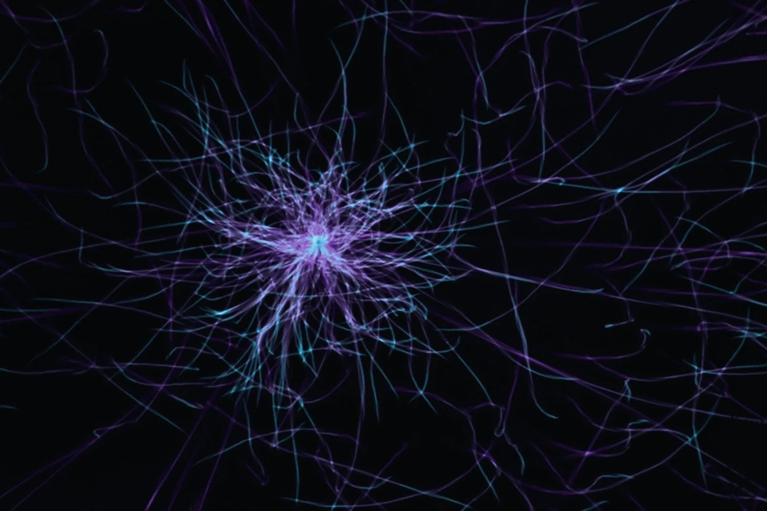La memoria humana siempre pareció demasiado grande para explicarse solo con neuronas y sinapsis tradicionales. Un nuevo modelo del MIT apunta a unas células ignoradas durante décadas: los astrocitos podrían ser parte del verdadero sistema de almacenamiento del cerebro