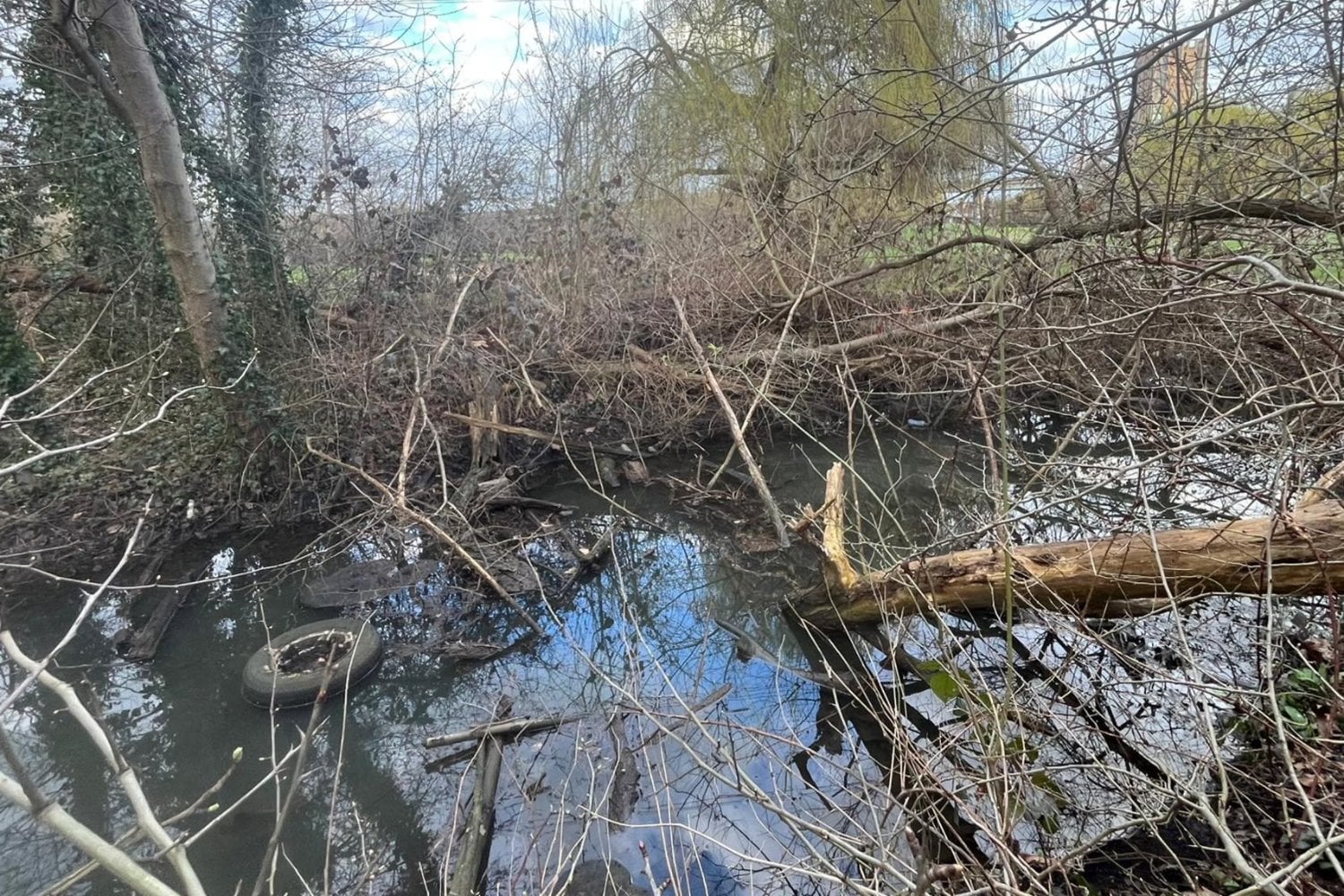 Un grupo de voluntarios limpió un río que llevaba años cubierto de basura y consiguió que la fauna empezara a regresar. Ahora Reino Unido investiga al organizador por haber trabajado sin permiso