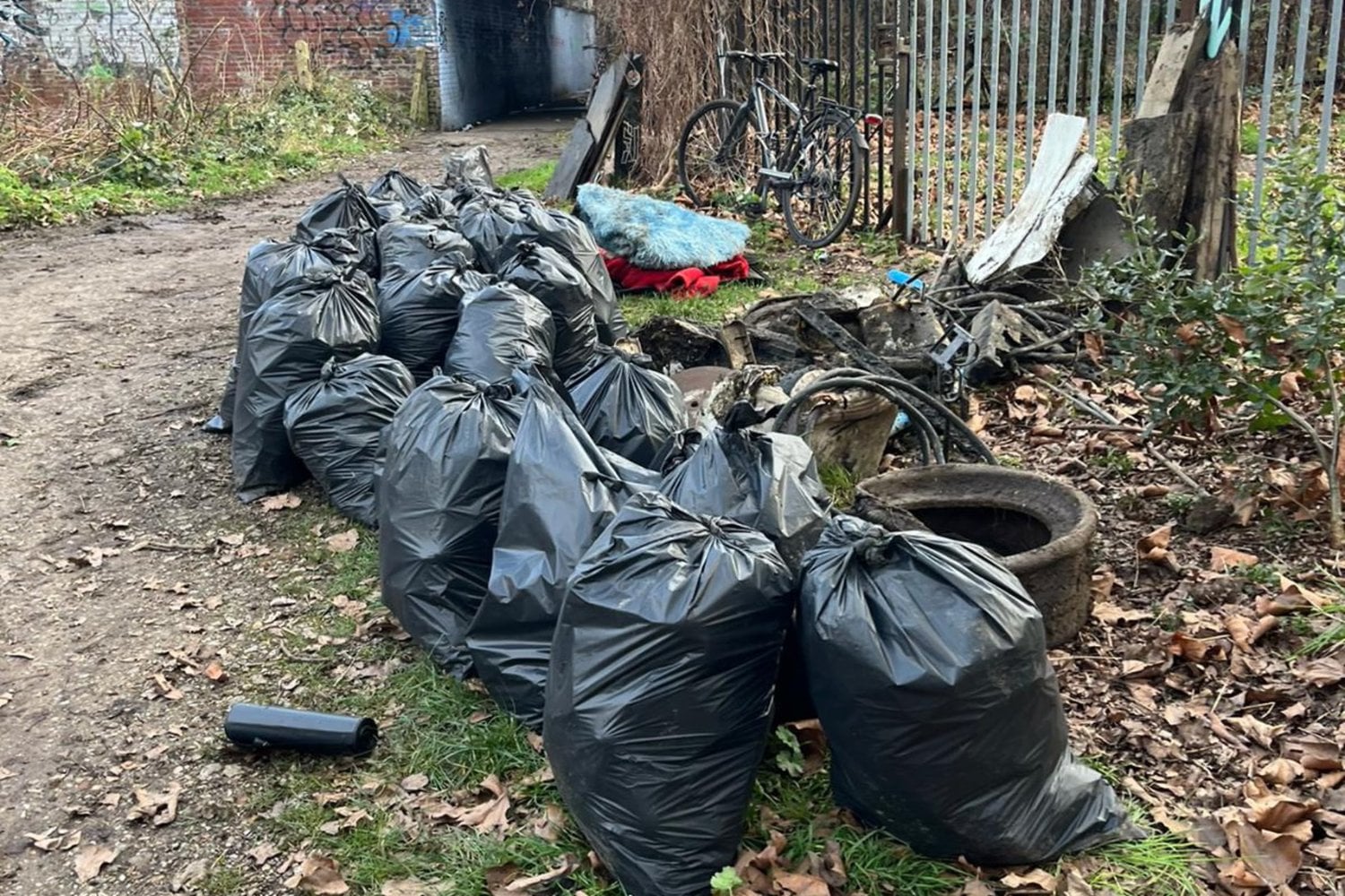 Un grupo de voluntarios limpió un río que llevaba años cubierto de basura y consiguió que la fauna empezara a regresar. Ahora Reino Unido investiga al organizador por haber trabajado sin permiso