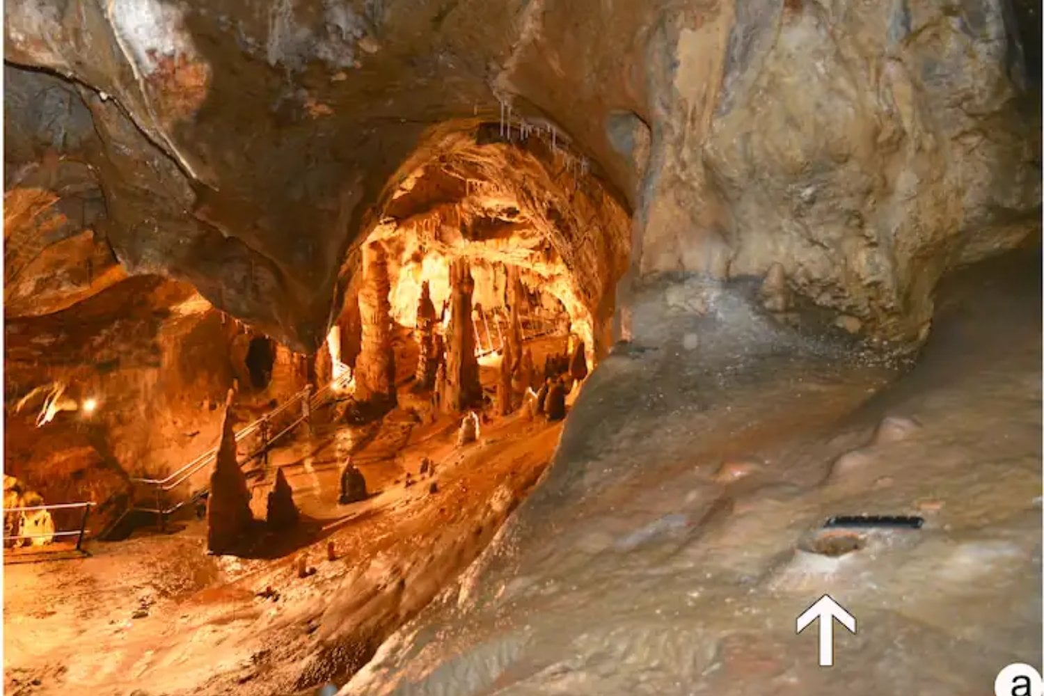 Una fila de cazadores-recolectores avanzó hace 14.000 años por una cueva italiana junto a su cánido. Ahora sabemos que iluminaban el camino con pequeñas ramas de pino, no con grandes antorchas