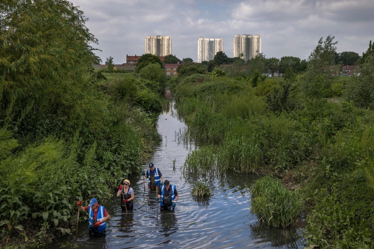 Un grupo de voluntarios limpió un río que llevaba años cubierto de basura y consiguió que la fauna empezara a regresar. Ahora Reino Unido investiga al organizador por haber trabajado sin permiso