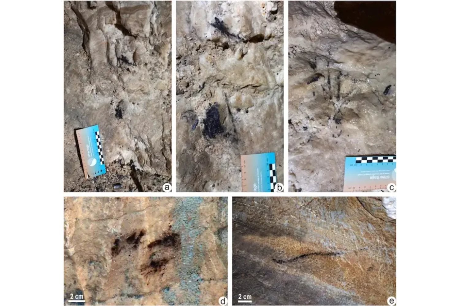 Una fila de cazadores-recolectores avanzó hace 14.000 años por una cueva italiana junto a su cánido. Ahora sabemos que iluminaban el camino con pequeñas ramas de pino, no con grandes antorchas