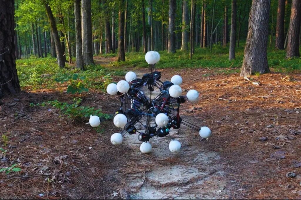 La forma ideal de un robot podría parecerse menos a un humano y más a un erizo de mar con 20 patas. Un estudio muestra que la simetría dinámica puede hacerlo más ágil, resistente y capaz de moverse en cualquier dirección