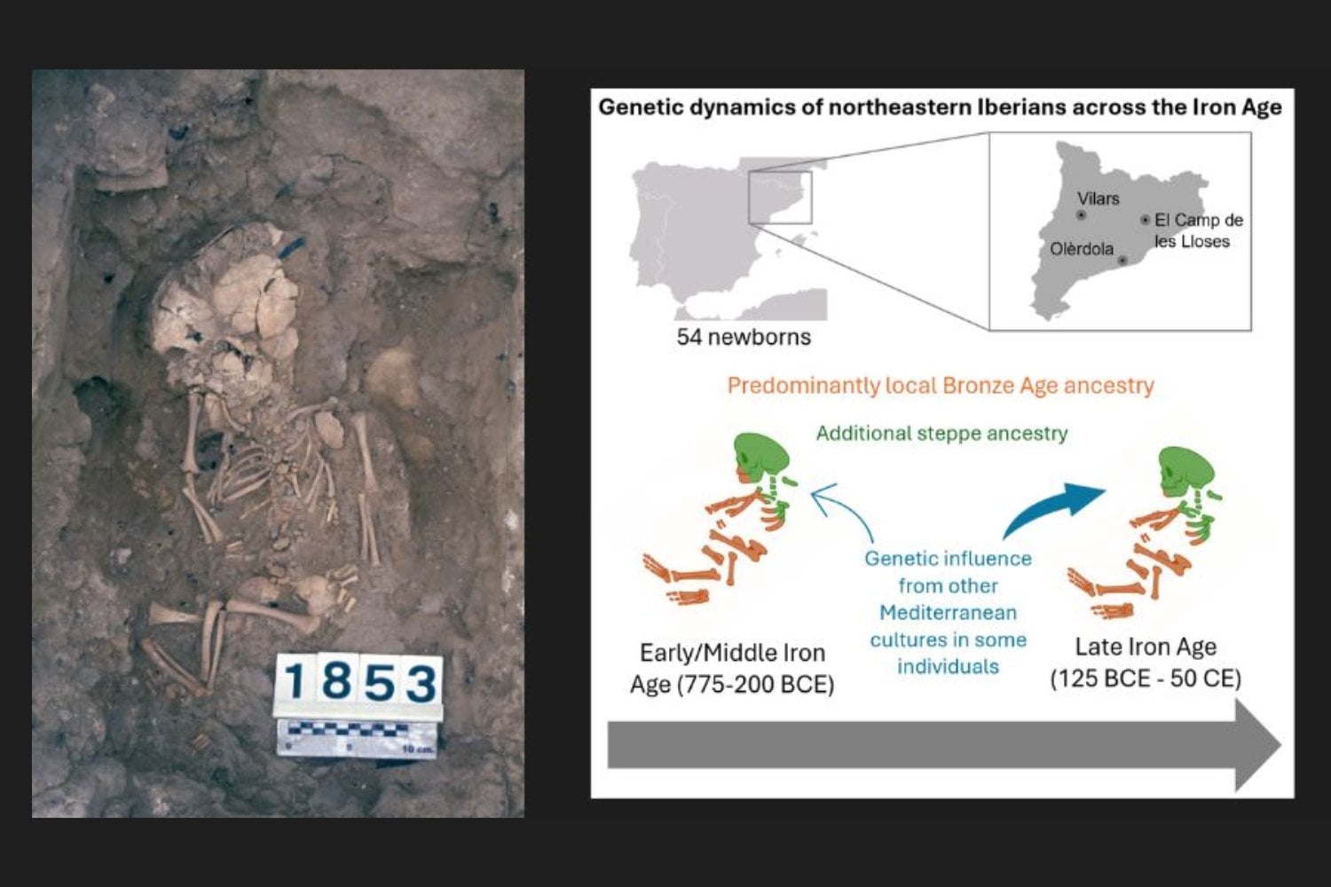 Los íberos comerciaron durante siglos con fenicios, griegos y cartagineses, pero su ADN cambió mucho menos de lo esperado. Un estudio de 54 recién nacidos revela una continuidad genética sorprendente durante 600 años