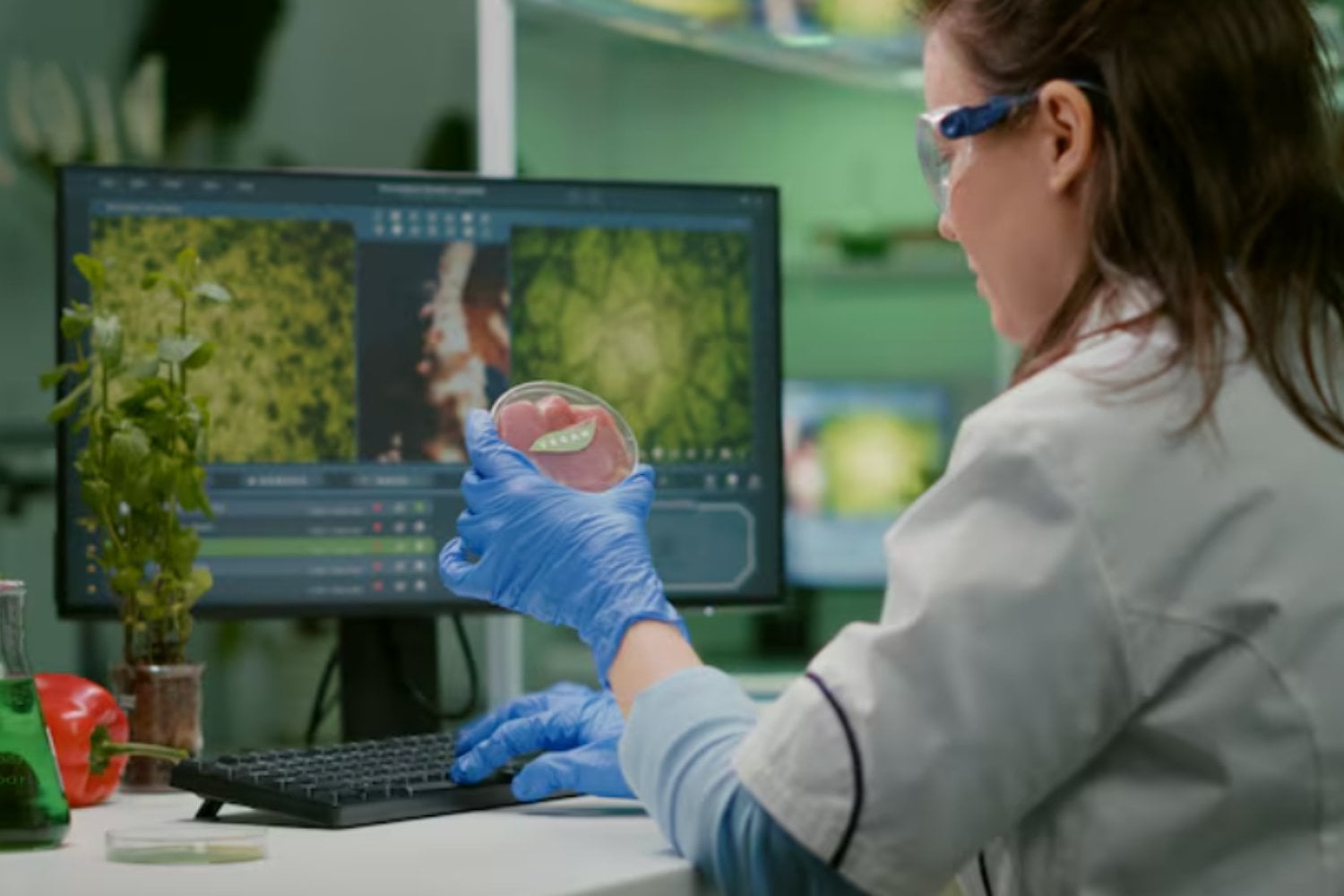 Europa abre la puerta a las plantas editadas con CRISPR: una revolución agrícola que llega tarde y con muchas condiciones