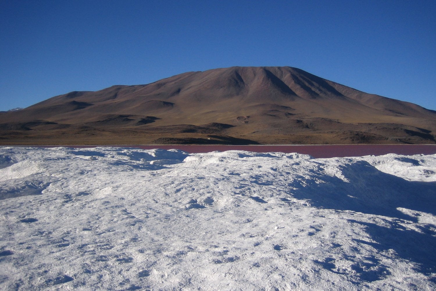Borax Laguna Colorada