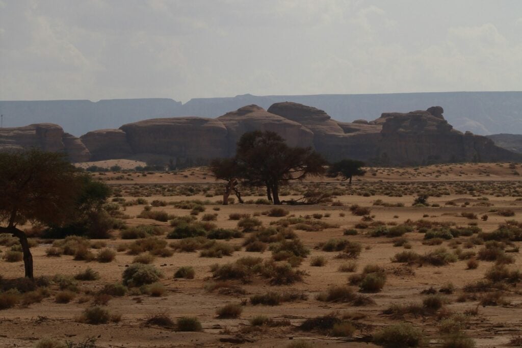 Desierto