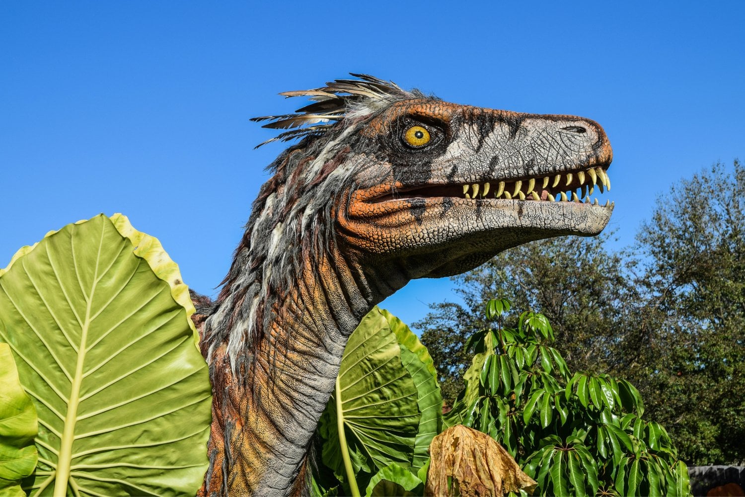 Dinosaurio Con Plumas