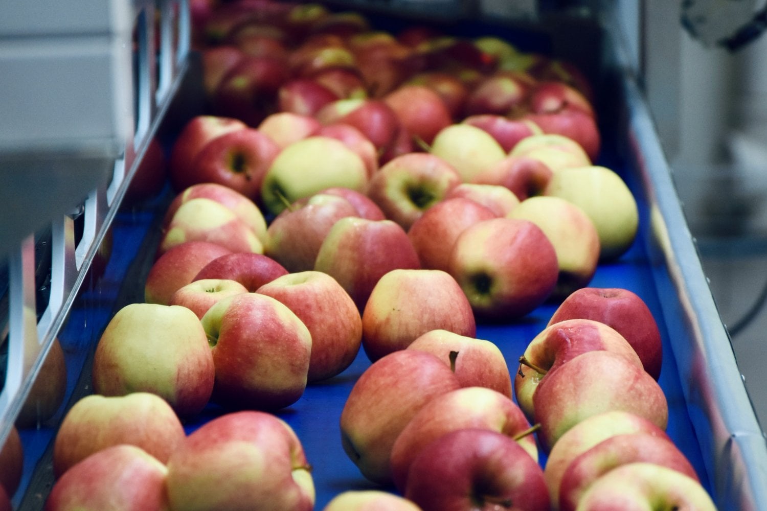 Fruta