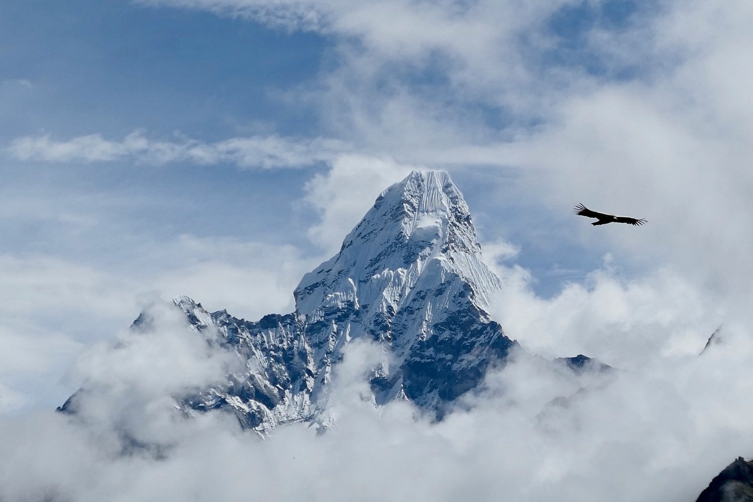 Himalaya
