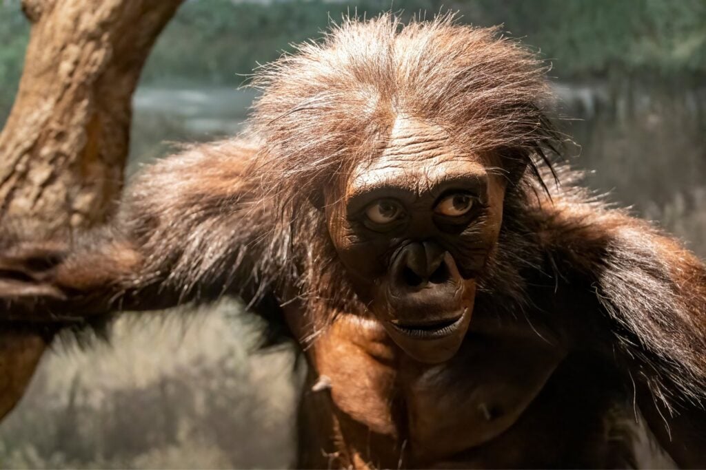 Homininos