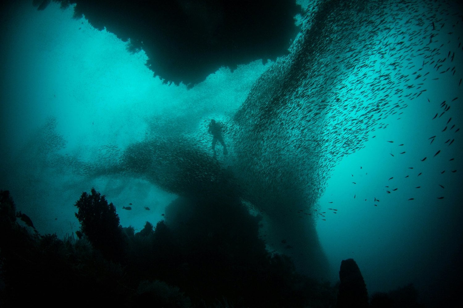 Oceano Profundo