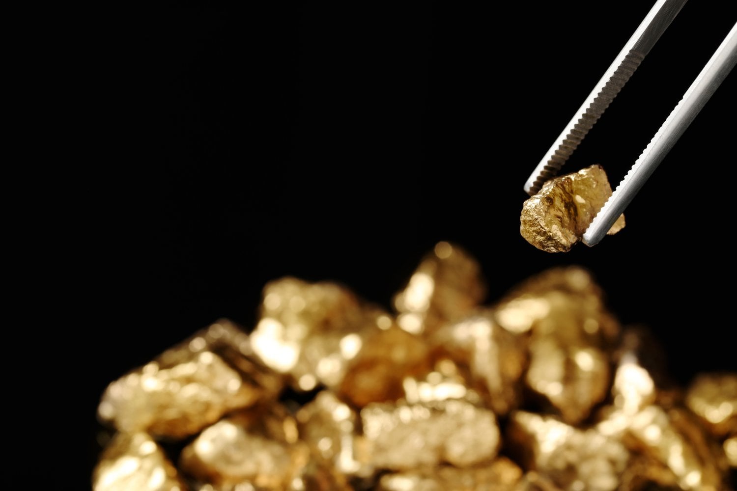 Pepitas De Oro