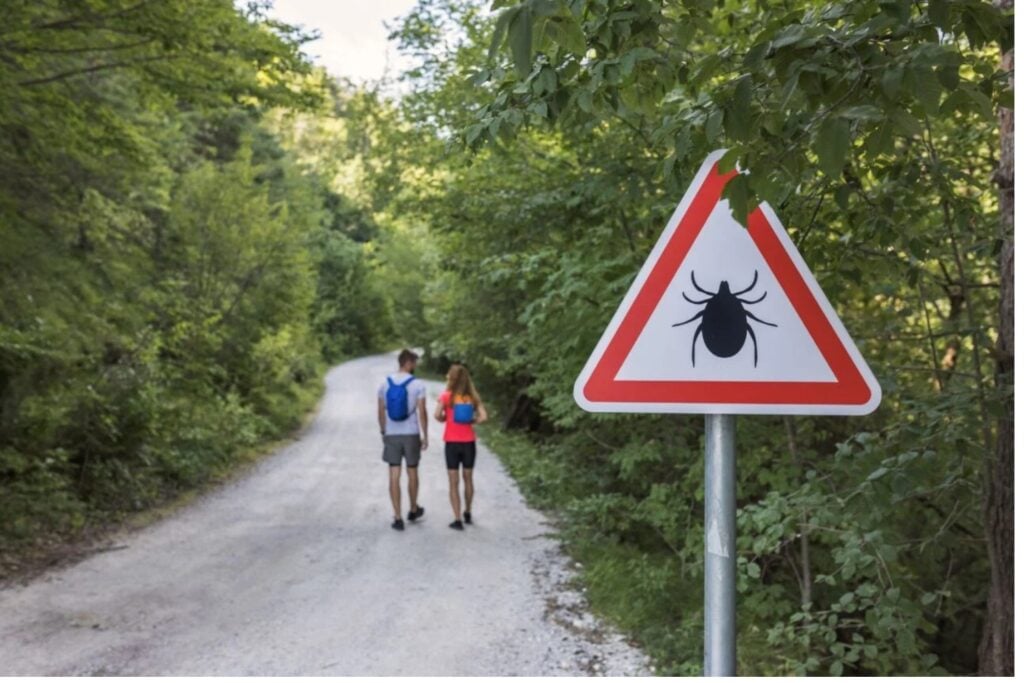 Señal De Alerta