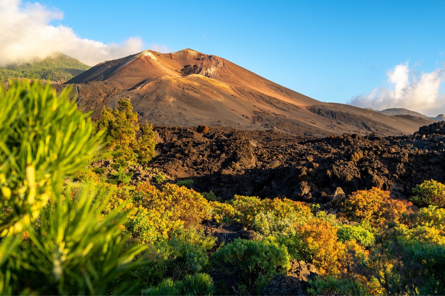 Volcan De La Palma