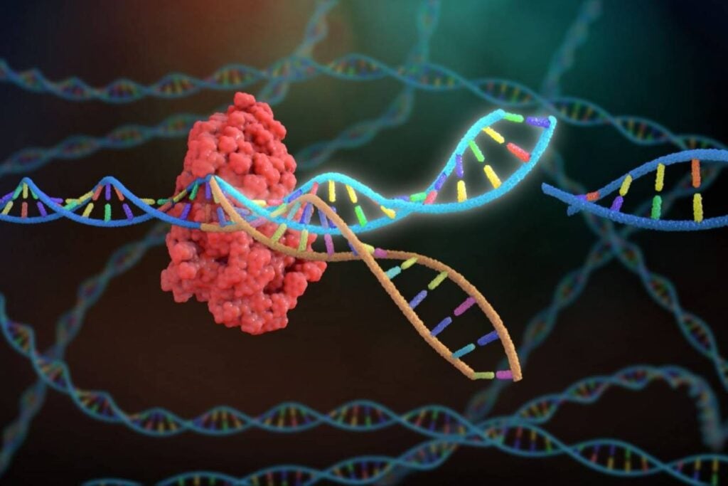 La primera terapia CRISPR aprobada en Estados Unidos ya está cambiando vidas reales. El caso de Daniel Cressy muestra tanto la promesa como el coste de curar una enfermedad hereditaria
