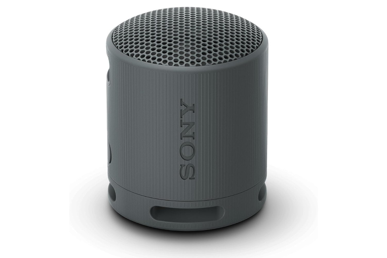 Sony SRS-XB100 Bluetooth Speaker