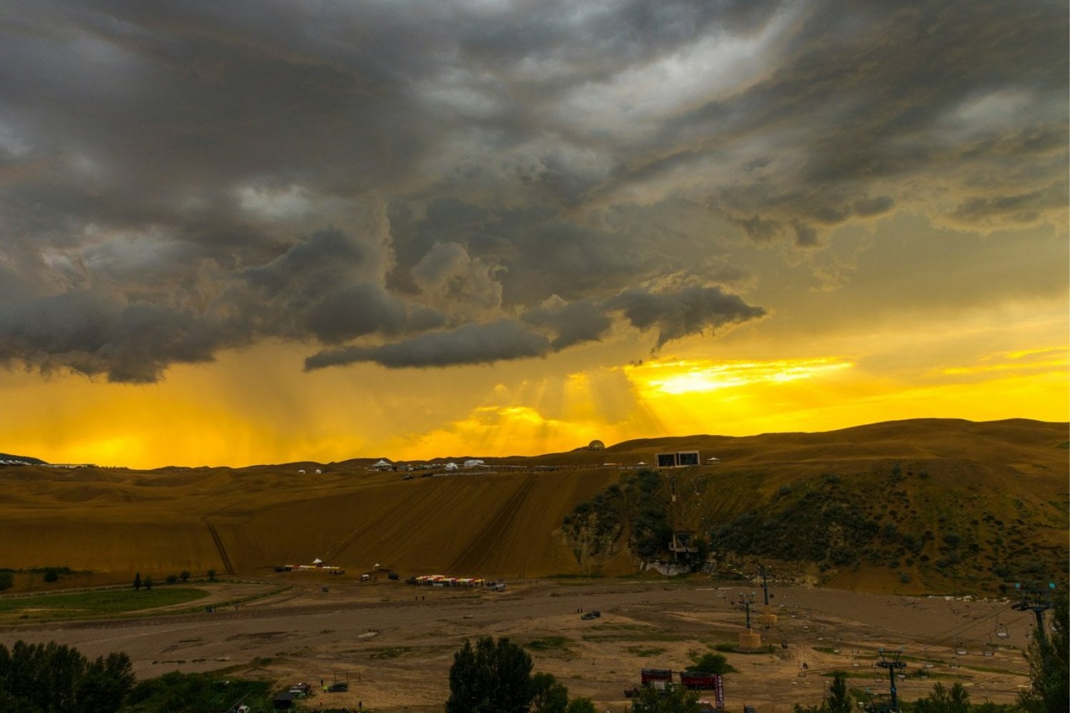 China quiso levantar una muralla verde contra el desierto y terminó creando un experimento climático gigante. Sus 66.000 millones de árboles crecen más rápido que los bosques naturales, pero con una advertencia clave