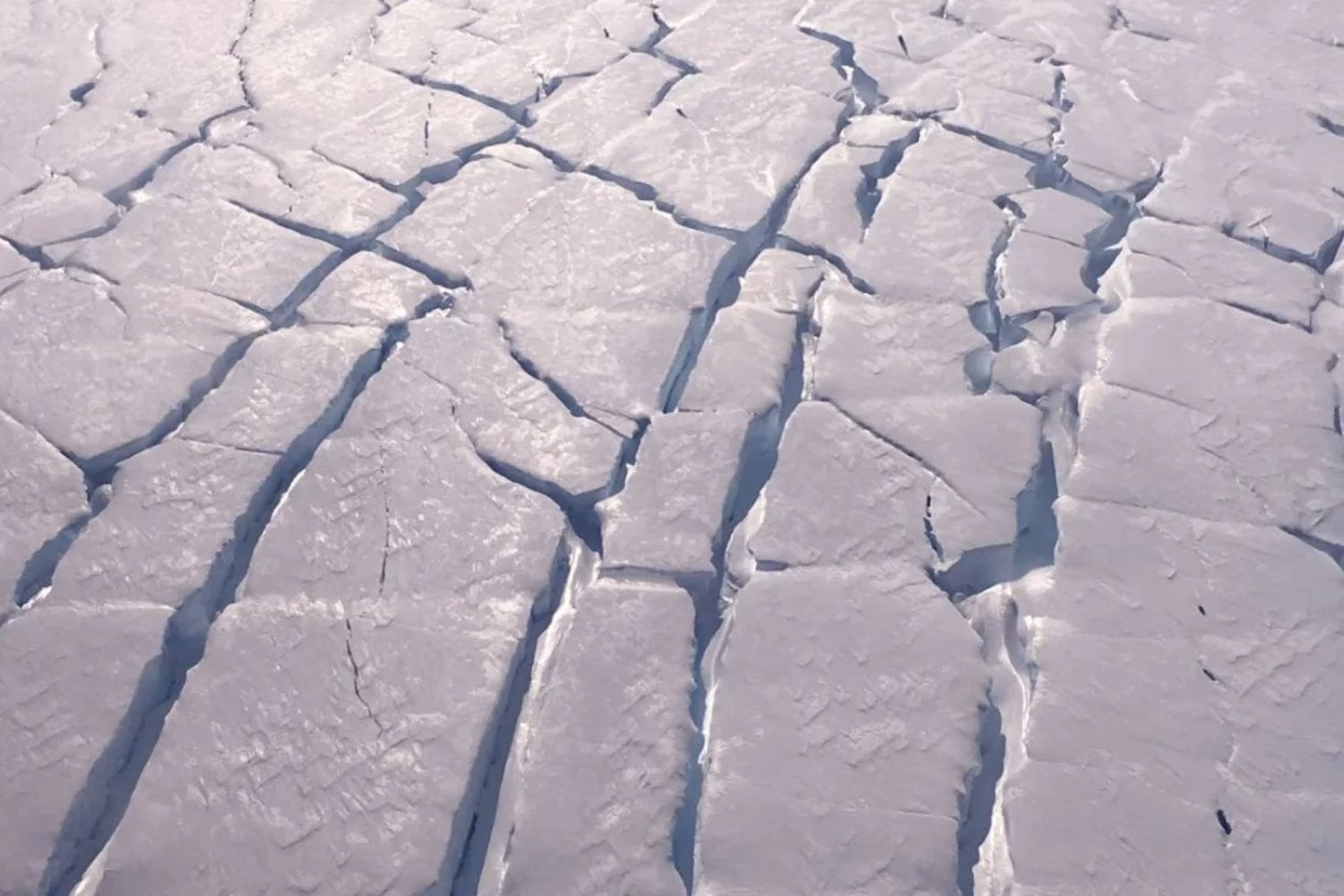 Un muro que nadie verá podría convertirse en la última defensa de la Antártida. El plan de 80.000 millones quiere desplegar una cortina de 80 kilómetros a 650 metros bajo el océano para frenar al glaciar Thwaites