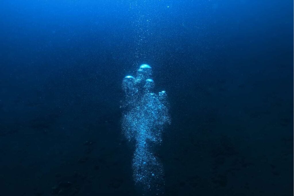 La Tierra está perdiendo oxígeno, pero no en el aire que respiramos: ocurre bajo el agua y los científicos advierten que océanos, ríos y lagos ya podrían haber cruzado un nuevo límite planetario