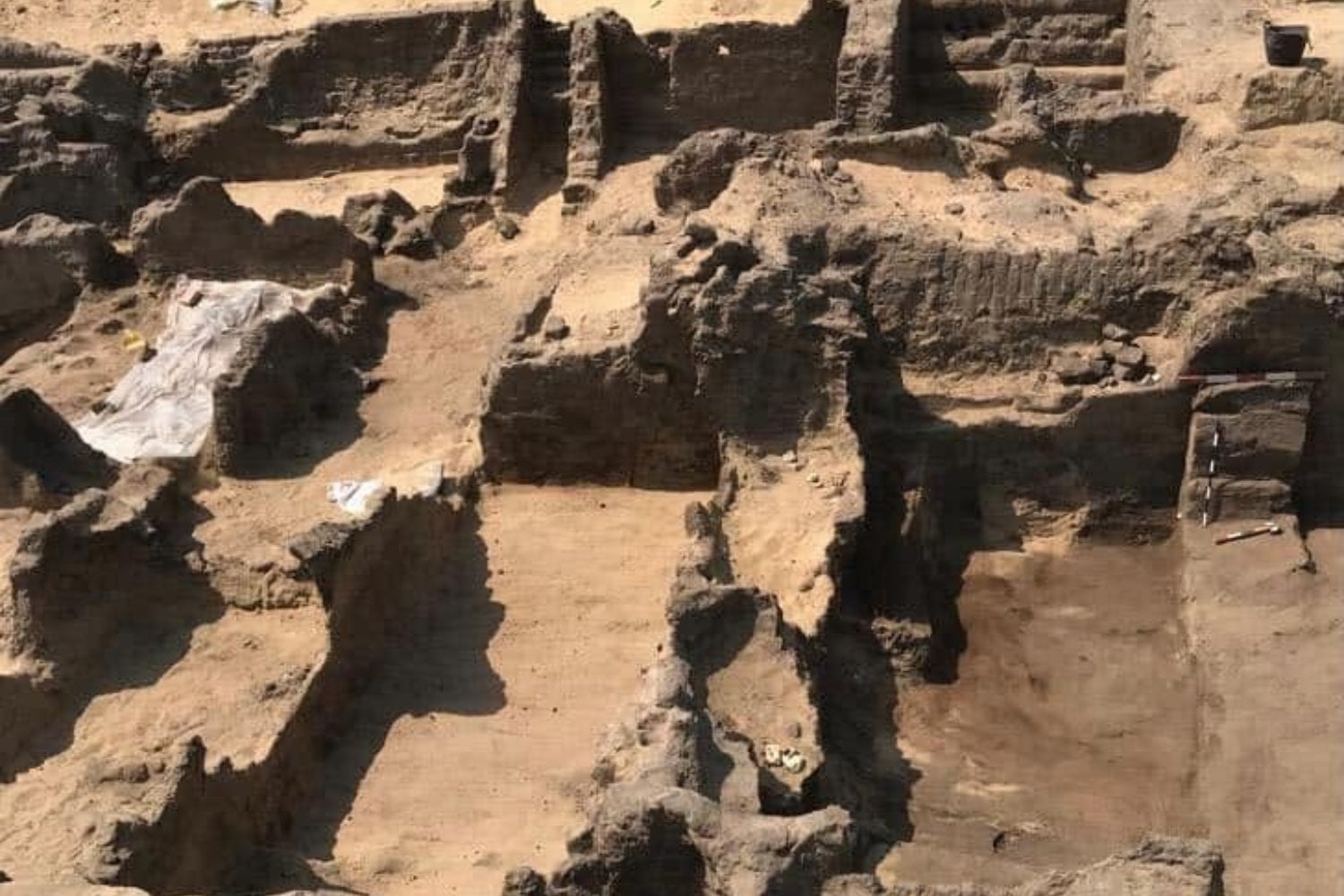 Arqueólogos abrieron 18 tumbas en una antigua ciudad de la costa egipcia y encontraron 24 lenguas de oro. No eran joyas: debían devolverles la voz a los muertos para hablar ante Osiris