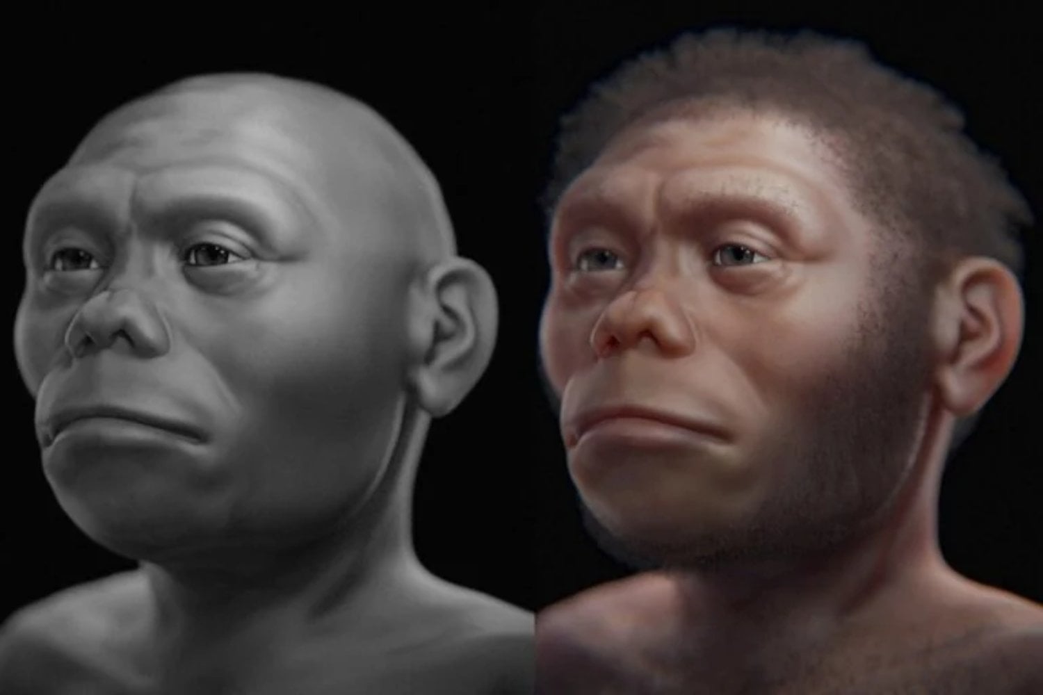 La escena parecía salida de una fantasía: humanos diminutos, elefantes enanos y dragones reales. Un nuevo estudio sugiere que los hobbits de Flores sobrevivían con sobras