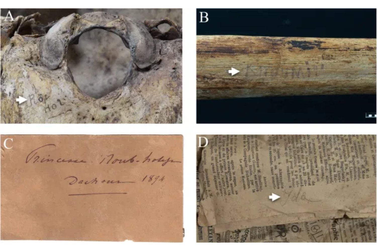 Los huesos de cinco princesas egipcias revelan que entrenaron con arcos, dagas y otras armas hace 4.000 años. Las lesiones y las marcas musculares sugieren que el armamento de sus tumbas no era un simple adorno funerario
