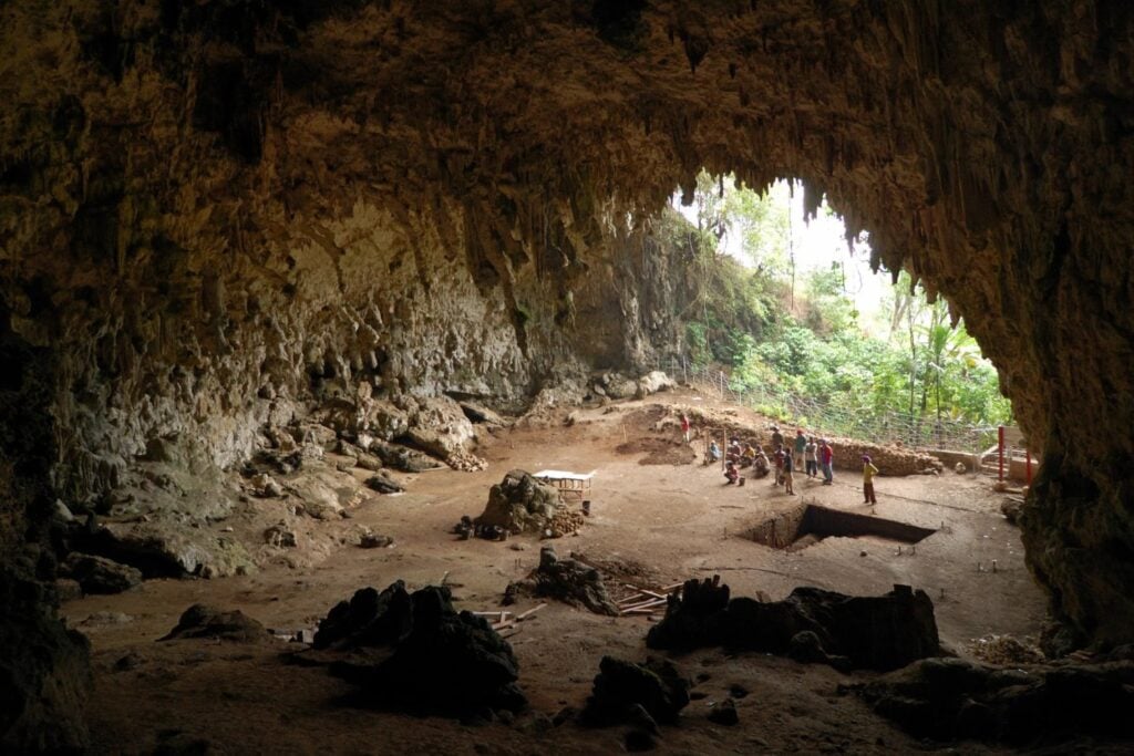 La escena parecía salida de una fantasía: humanos diminutos, elefantes enanos y dragones reales. Un nuevo estudio sugiere que los hobbits de Flores sobrevivían con sobras