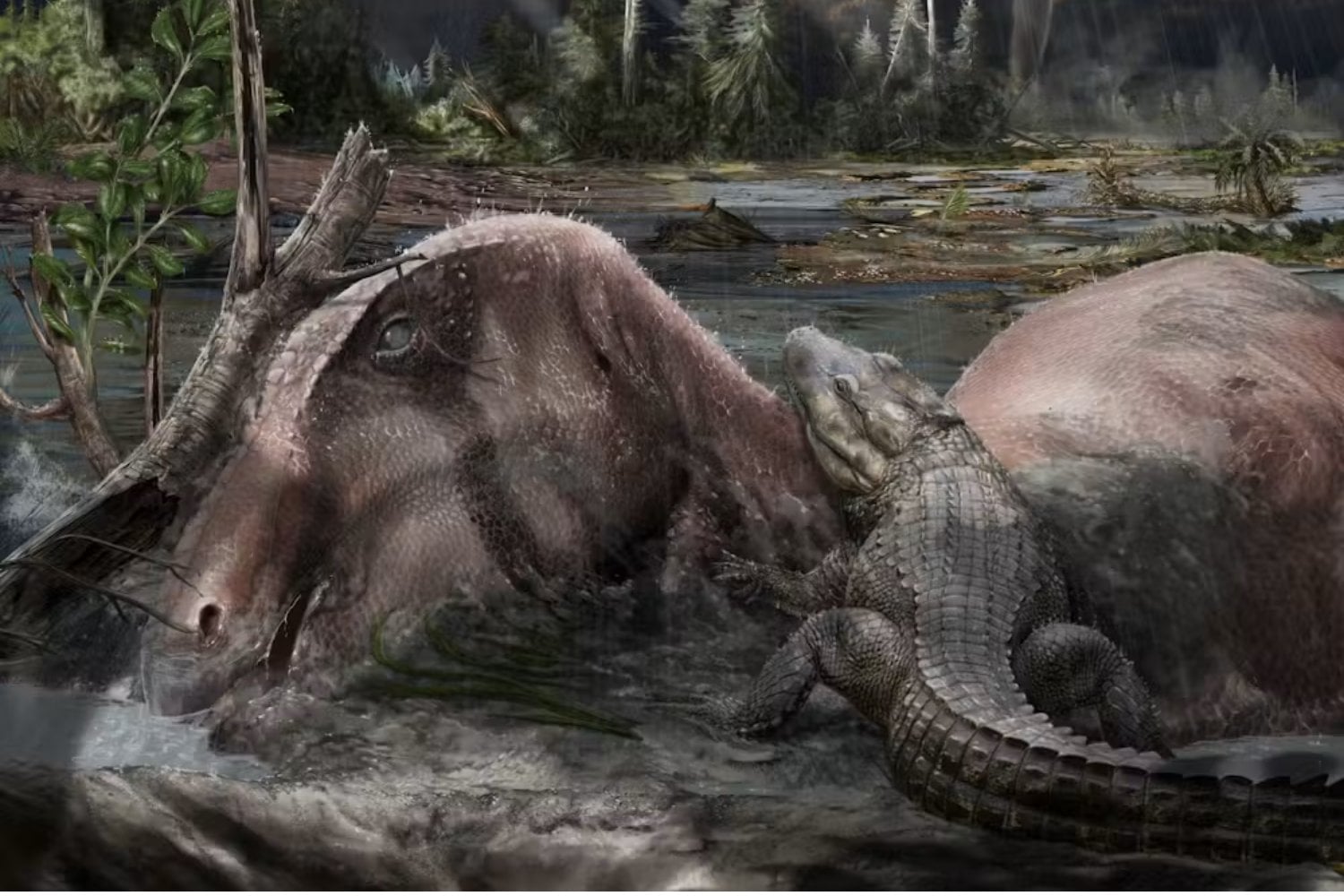 Este “cementerio” de dinosaurios parecía reunir miles de años de muertes. La roca acaba de revelar algo mucho más extraño: una sucesión de monzones lo construyó en apenas 40 años