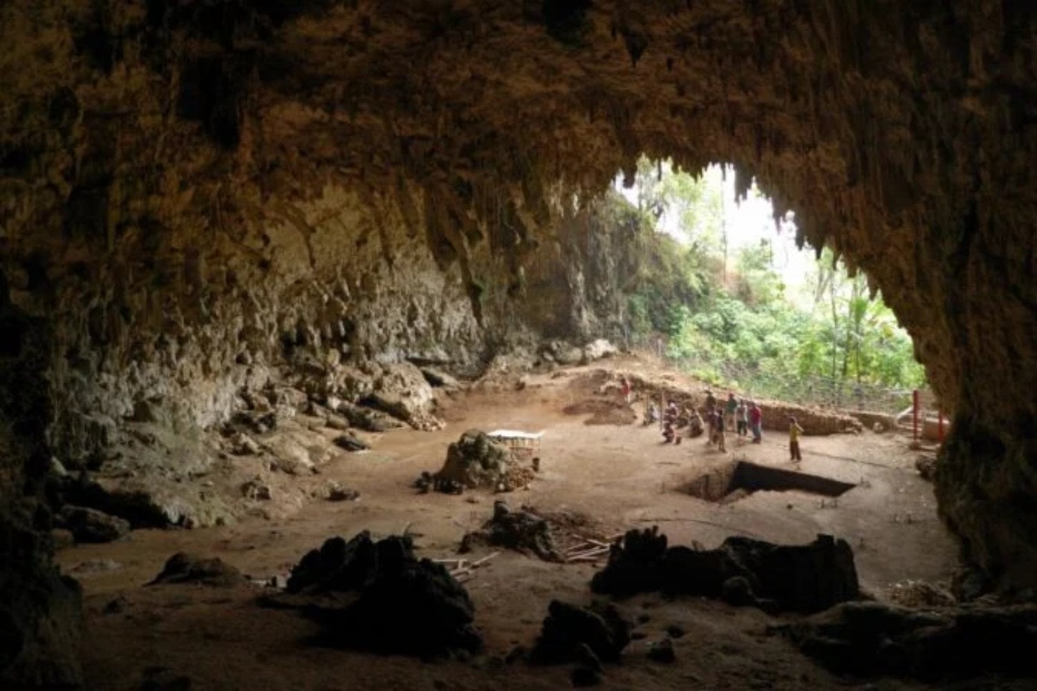 El “hobbit” de Flores parecía un cazador diminuto capaz de dominar el fuego, pero los huesos cuentan otra historia. Un nuevo estudio sugiere que sobrevivía con las sobras de los dragones de Komodo
