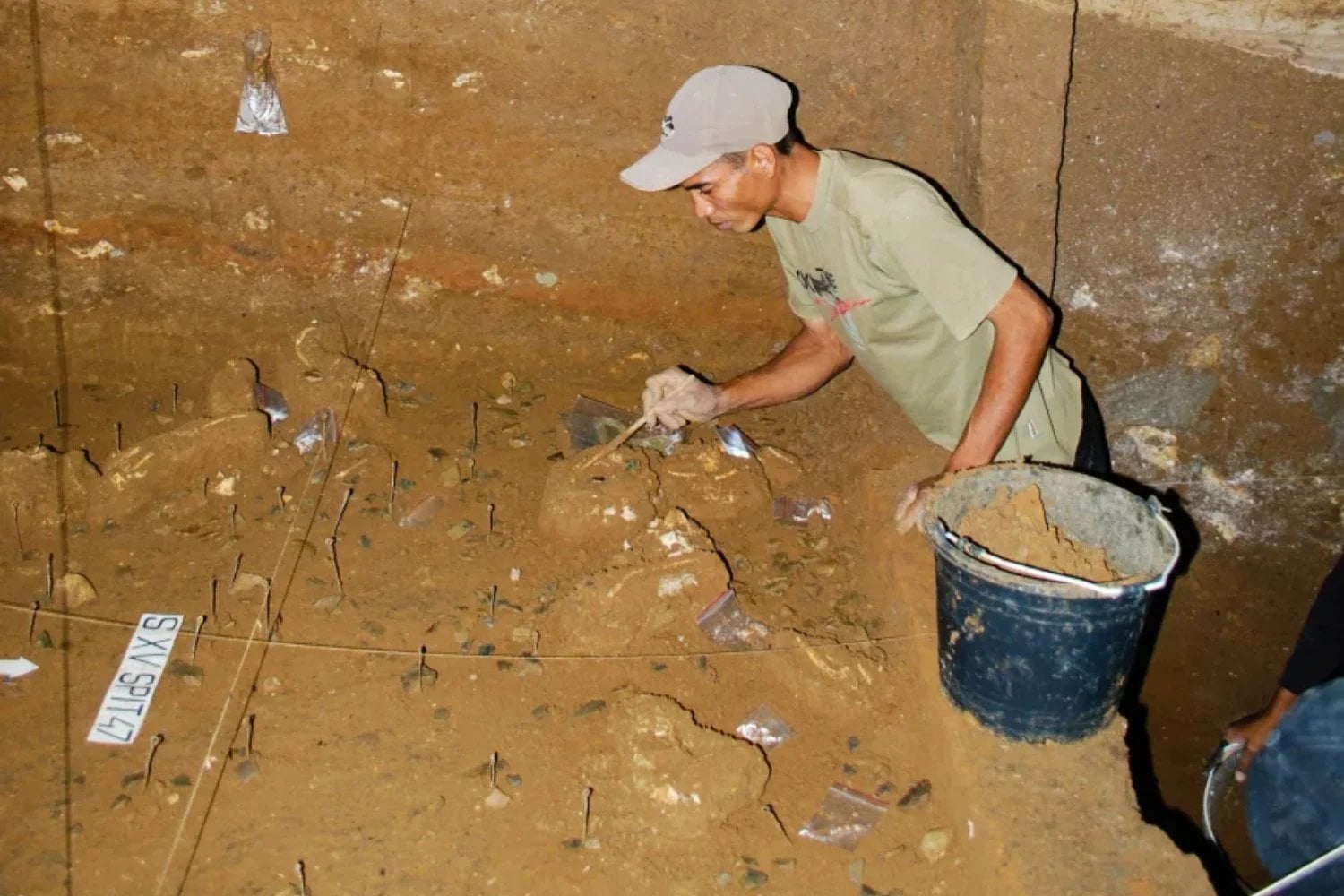 El “hobbit” de Flores parecía un cazador diminuto capaz de dominar el fuego, pero los huesos cuentan otra historia. Un nuevo estudio sugiere que sobrevivía con las sobras de los dragones de Komodo