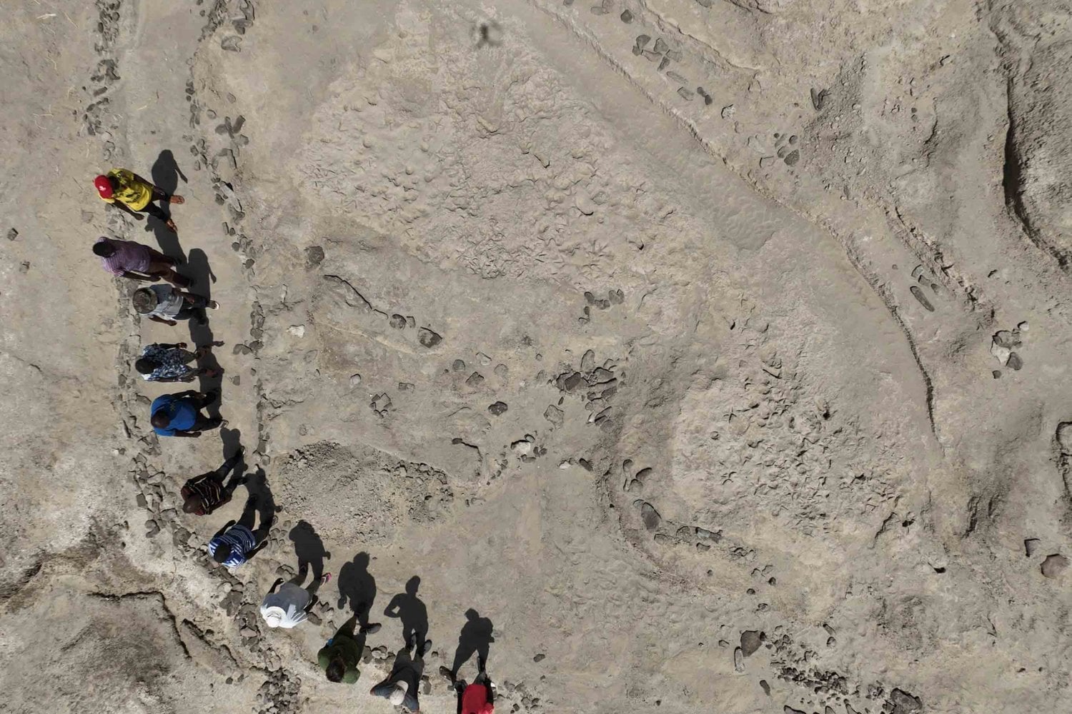 La evolución humana dejó una fotografía de grupo en el barro hace 1,43 millones de años. Ocho homínidos primates caminaban juntos y algunos tenían el tamaño de un adulto actual