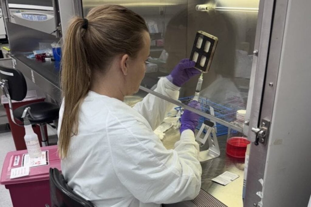 La medicina regenerativa acaba de enviar cartílago a la Estación Espacial Internacional. Un equipo de UC Irvine estudiará si la microgravedad permite fabricar tejido más parecido al natural que en la Tierra