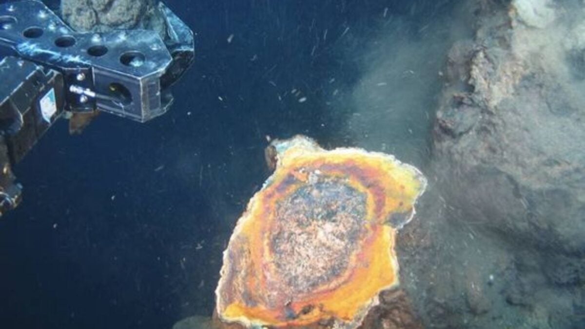 El “oro de los tontos” escondía una riqueza real bajo el océano. Científicos encontraron una concentración récord de oro invisible dentro de una caldera volcánica situada al sur de Tokio