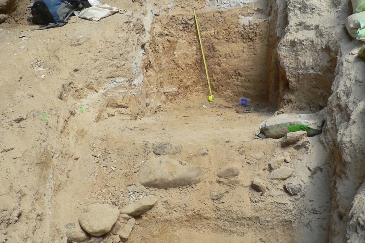 Una cueva de Nueva Zelanda guardó durante un millón de años un mundo perdido de aves y ranas. Entre los fósiles apareció un antepasado del kākāpō que quizá todavía podía volar