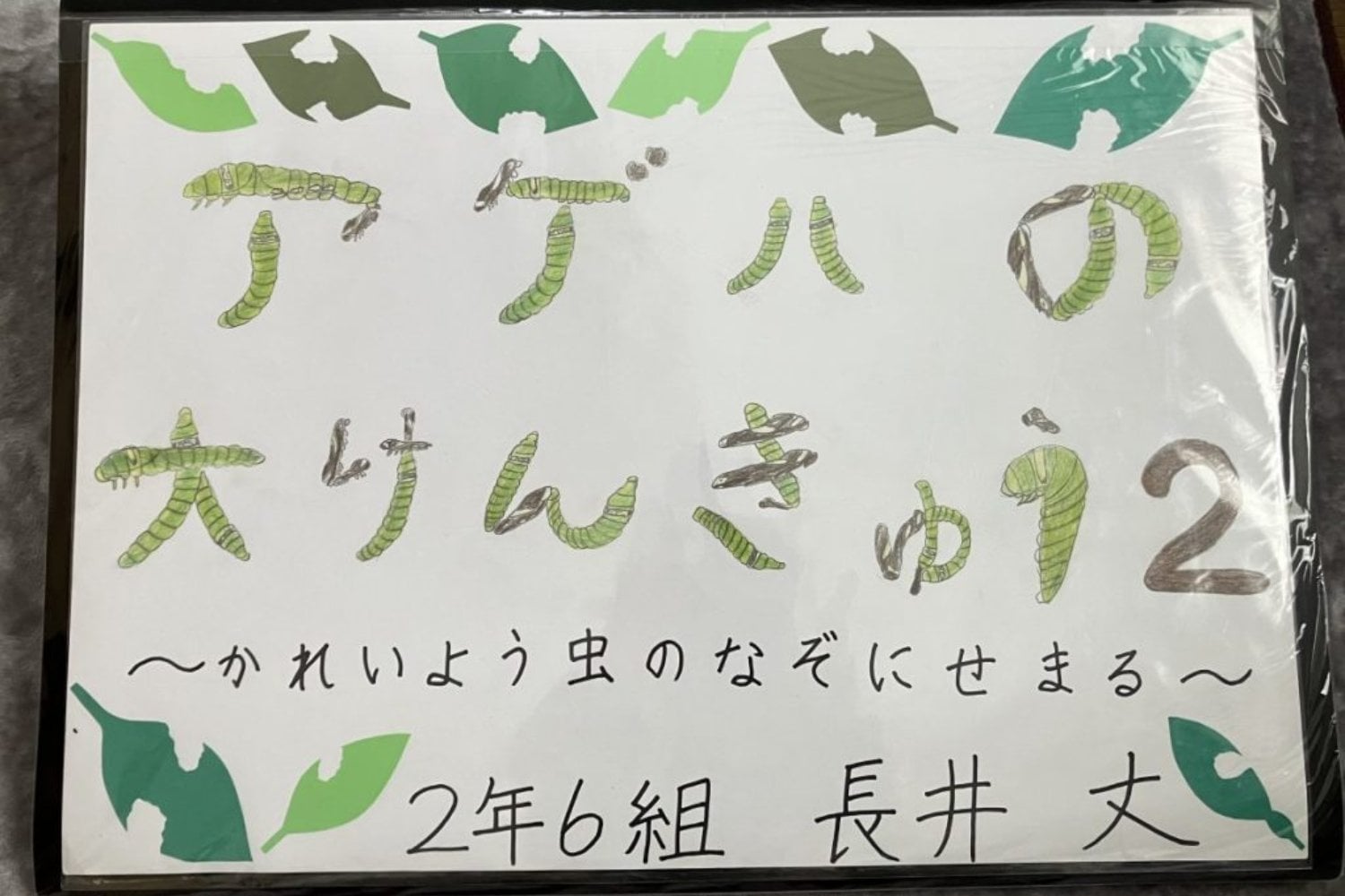 Un niño japonés quiso saber si sus mariposas recordaban la vida que habían tenido como orugas. Su experimento casero encontró algo todavía más extraño: las crías evitaron un olor que nunca habían aprendido a temer