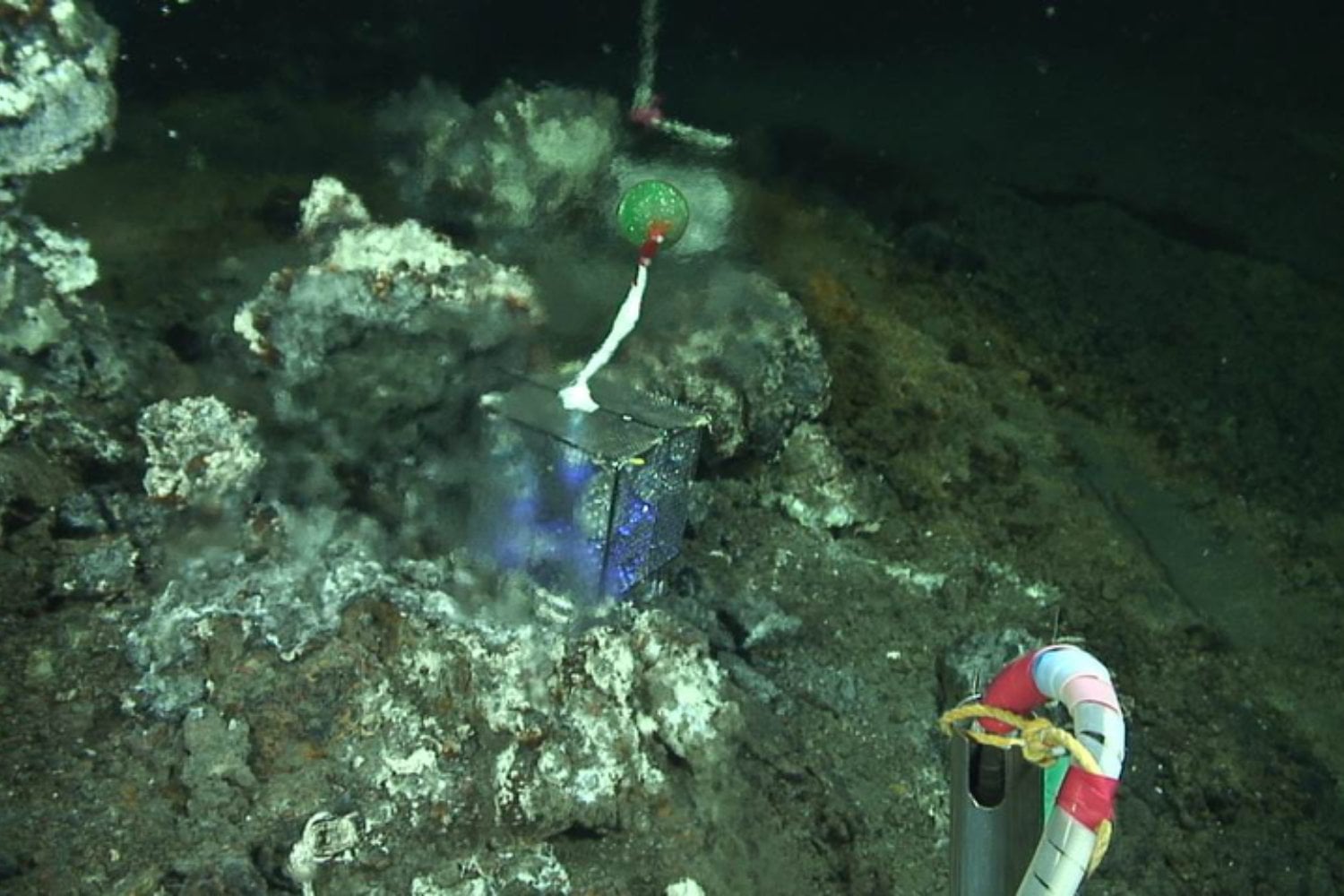 El “oro de los tontos” escondía una riqueza real bajo el océano. Científicos encontraron una concentración récord de oro invisible dentro de una caldera volcánica situada al sur de Tokio